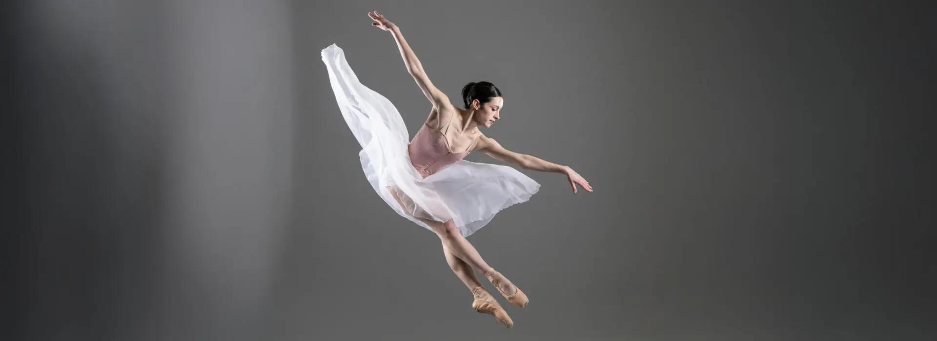 summer 2025 programs banner summer 2025 programs banner